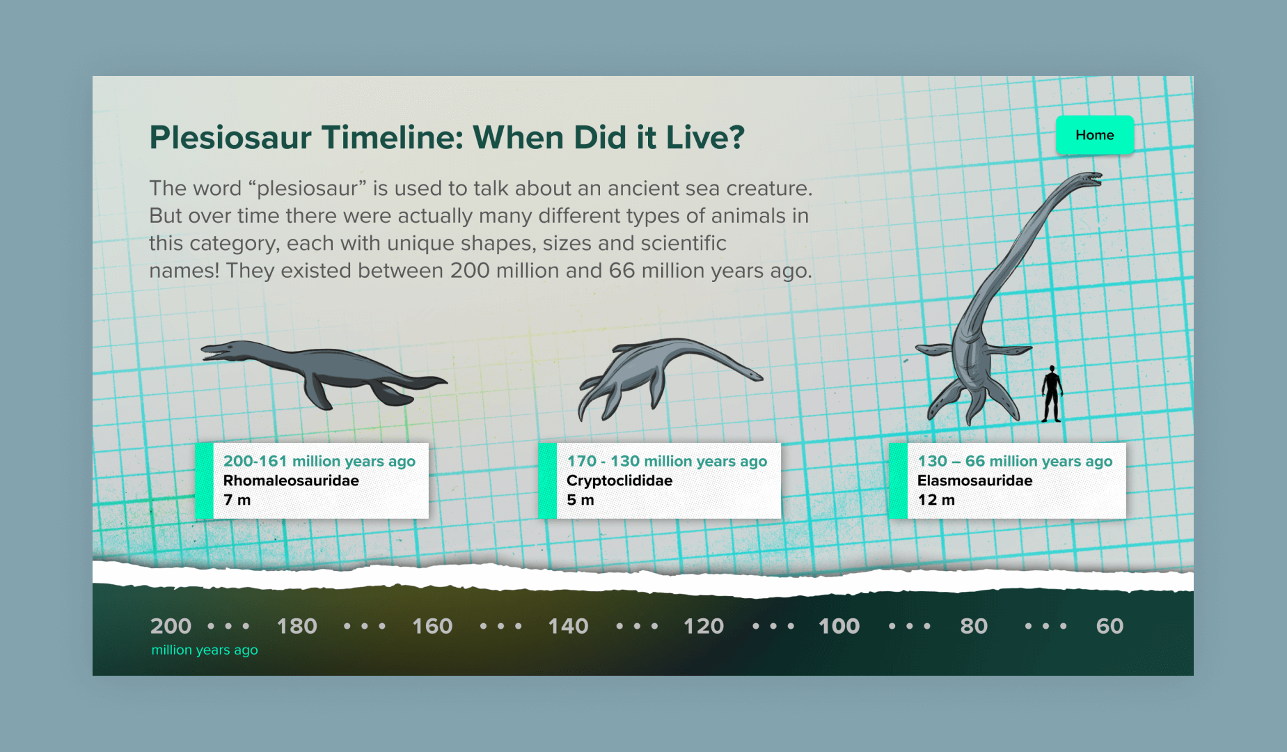 A slide from the Plesiosaur Encounter lesson utilizes the teal from the STEM color palette on the button and accents.