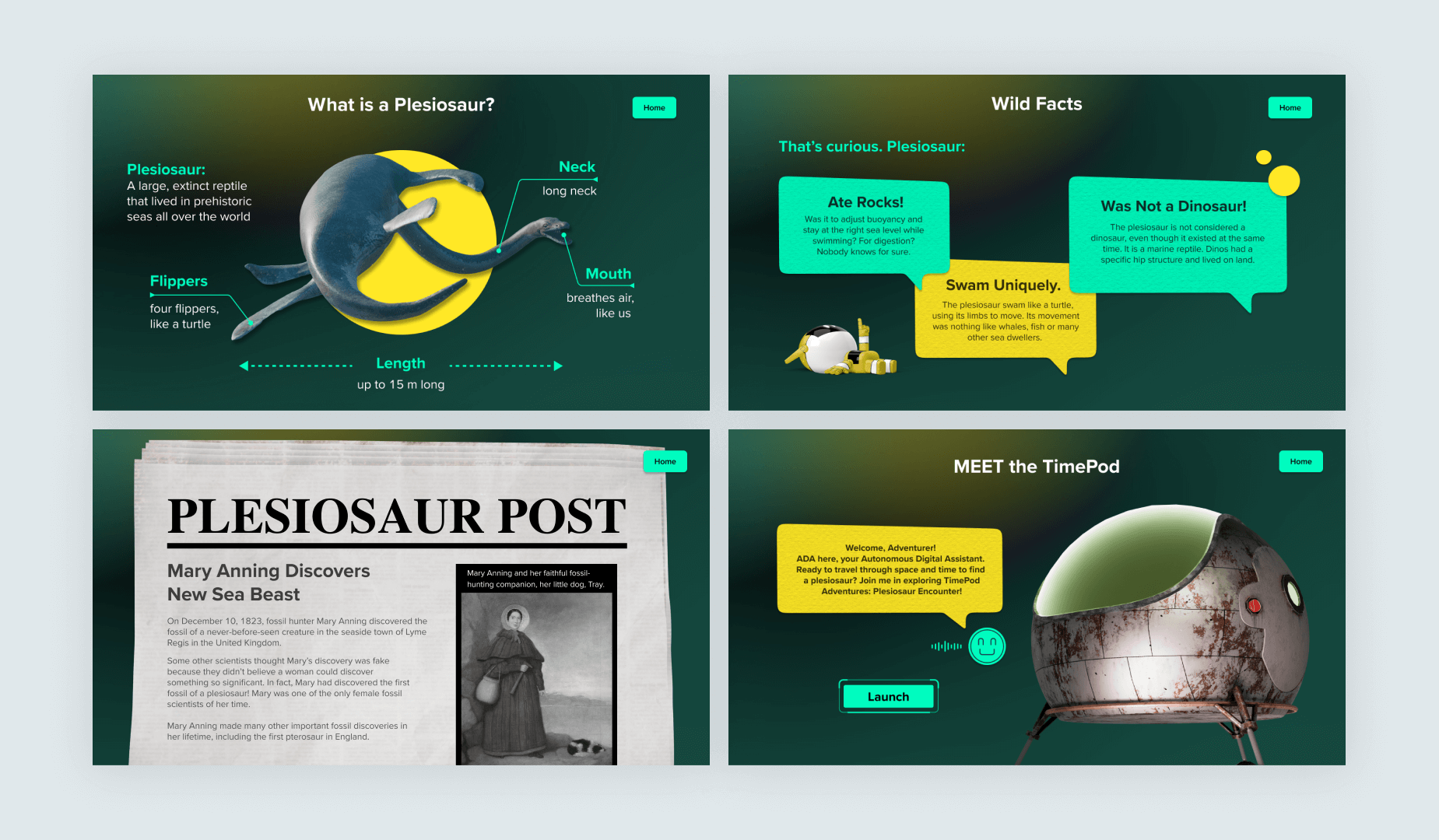On slides from the Plesiosaur Encounter lesson the teal from the STEM color palette is used on the buttons, accents and logo. The secondary yellow color is introduced as well.